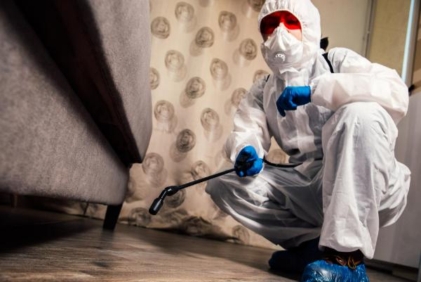 Termite Pest Control Extermination London Ky Berea Ky Richmond KY