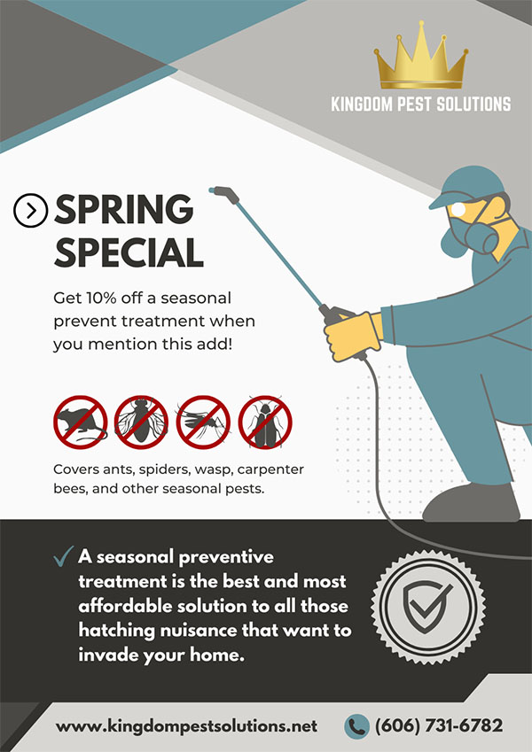 Spring Pest Control London, KY