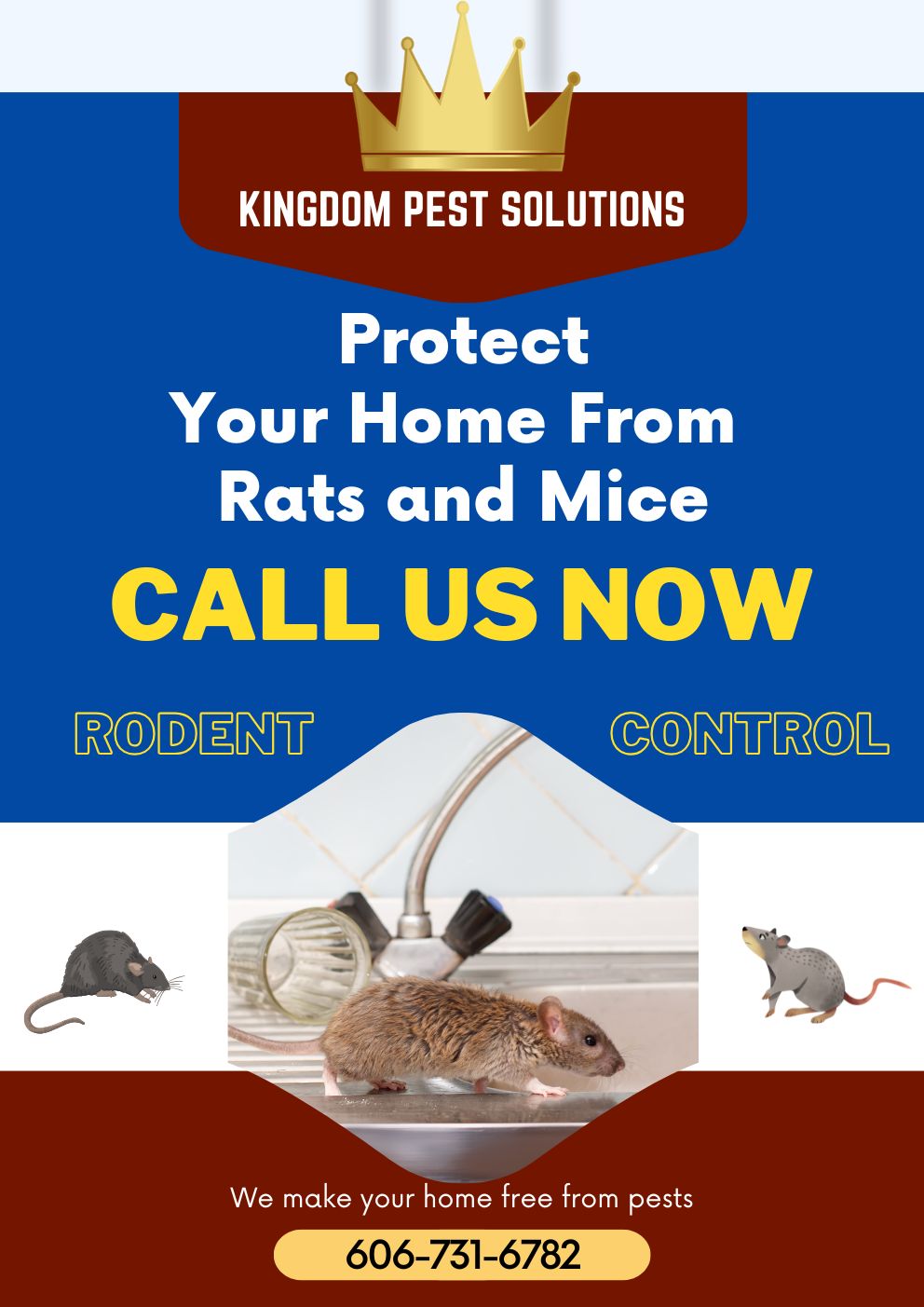 Kingdom Pest Solutions Mice and Rat control London Kentucky